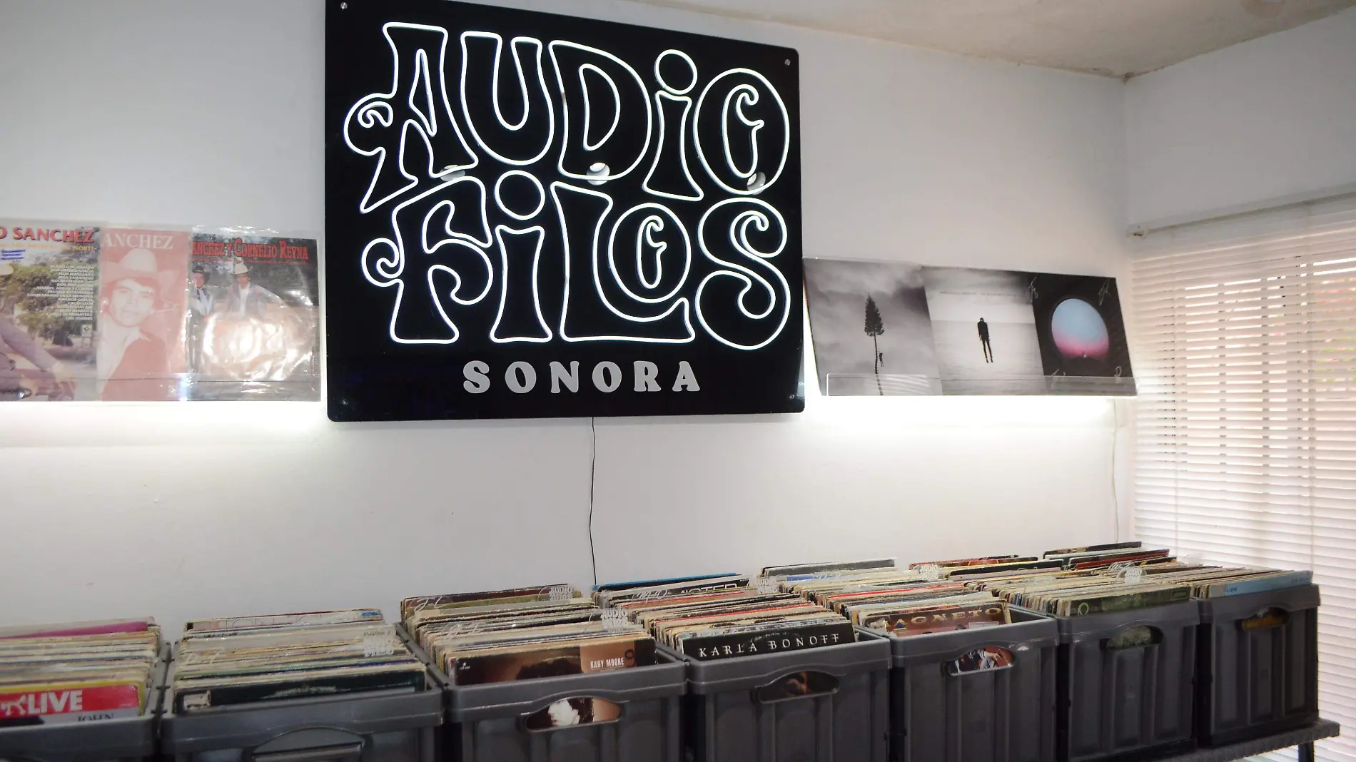 Audiofilos Sonora